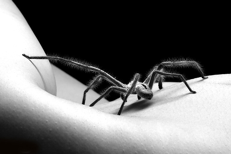 The Twosome #4187283