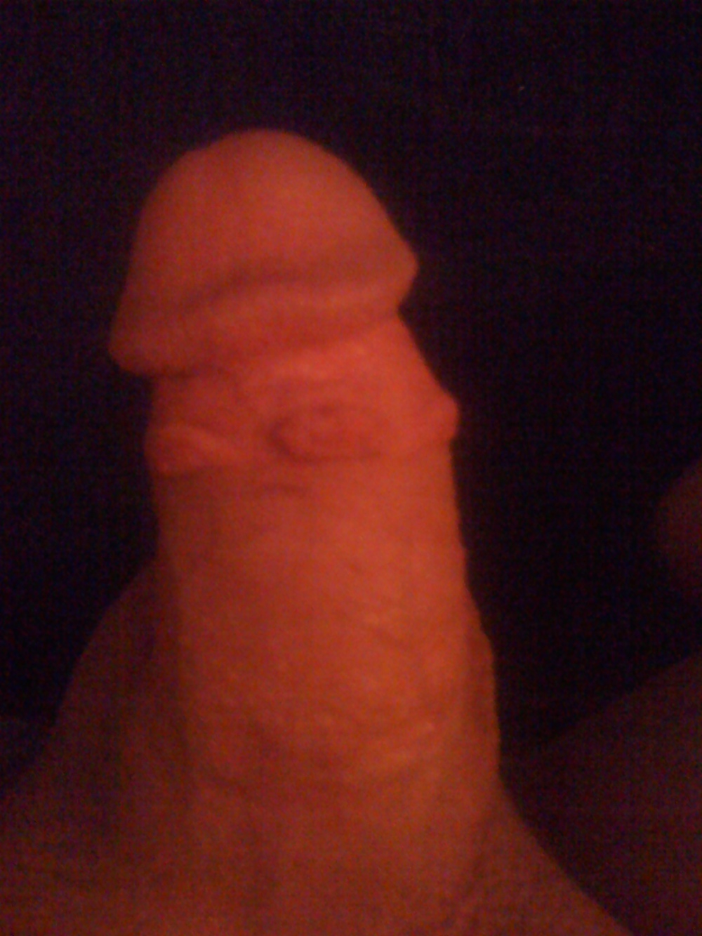 My cock #3144550