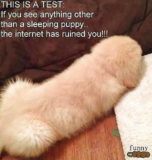 あなたが考えるようにします lmao
 #8868022