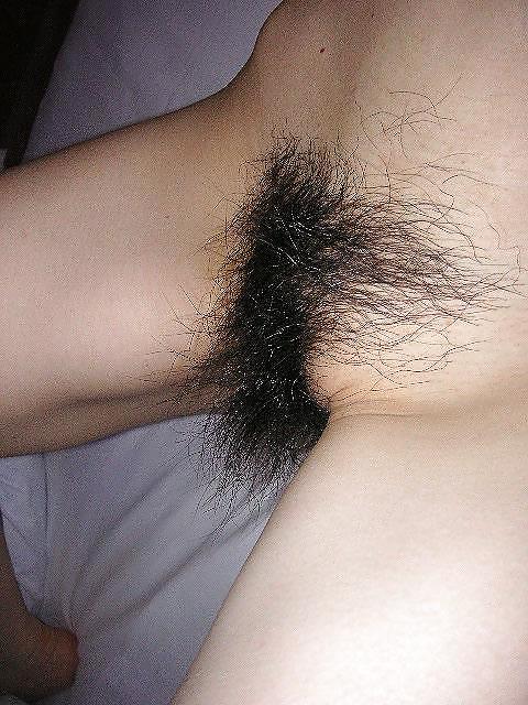 Hairy Ladies #9565306