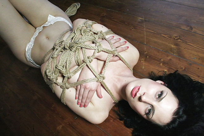 Chains and ropes #2389498