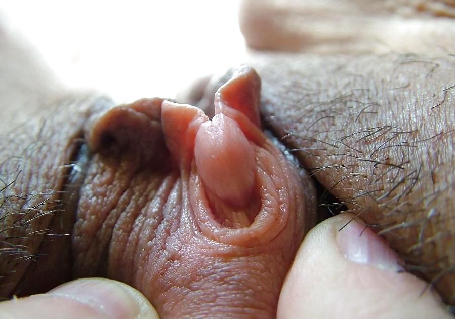 Lips & Clits  #3650012