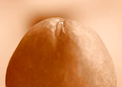 Defective Neue Impressionen