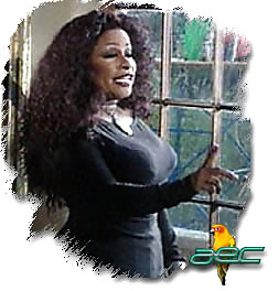 Chaka khan
 #11681159