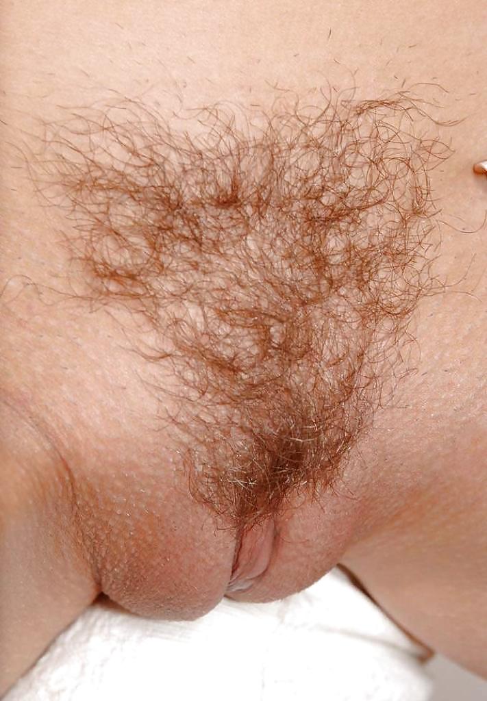 Pussy close-up
 #2845571