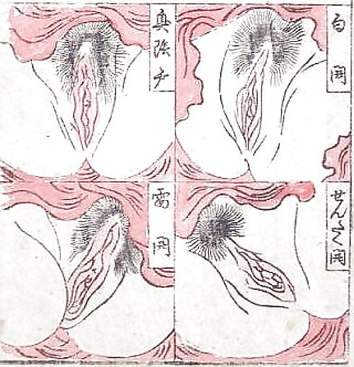Gedruckt Ero Und Porno Kunst 8 - Japanische Shungas (2) #6530269