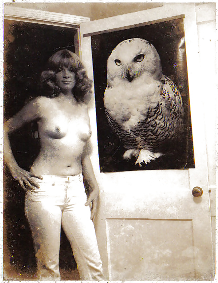 More Old Polaroids #5153863