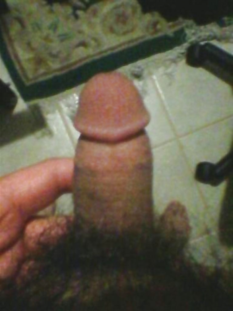 My Moderate Cock