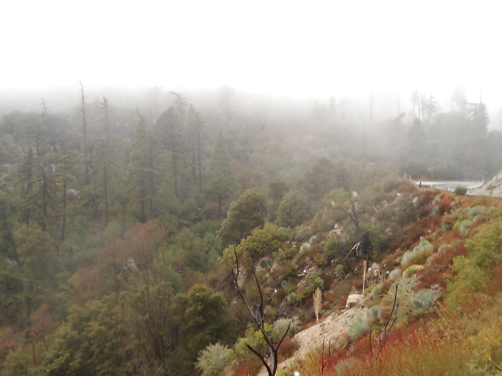 More Nature photos #8806981