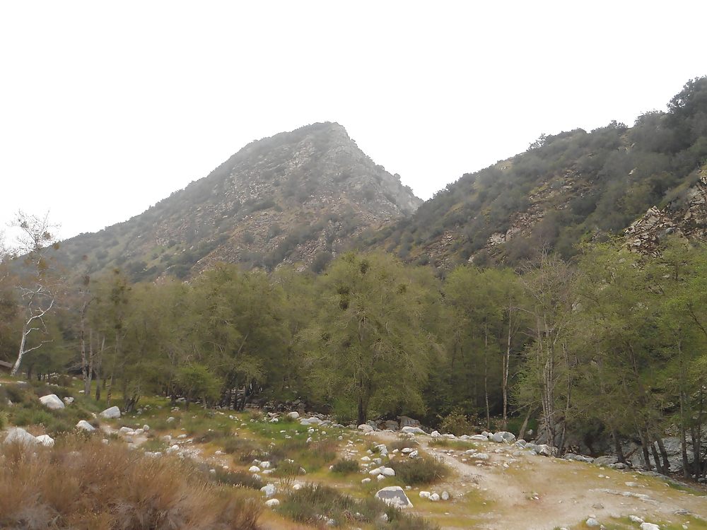 More Nature photos #8807005