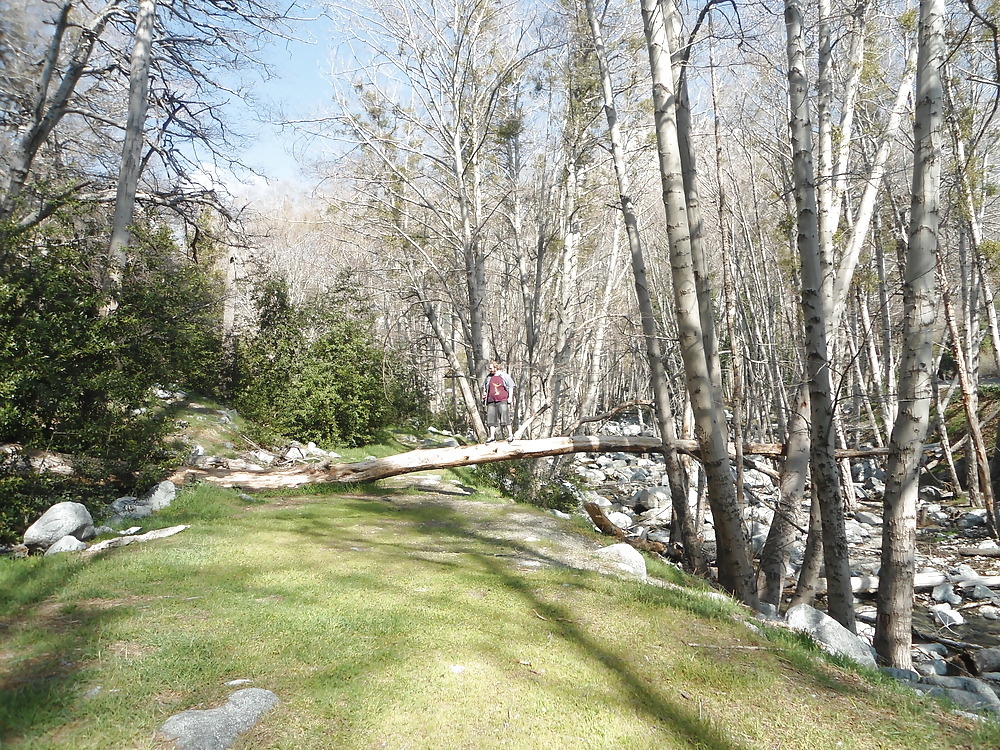 More Nature photos #8807052