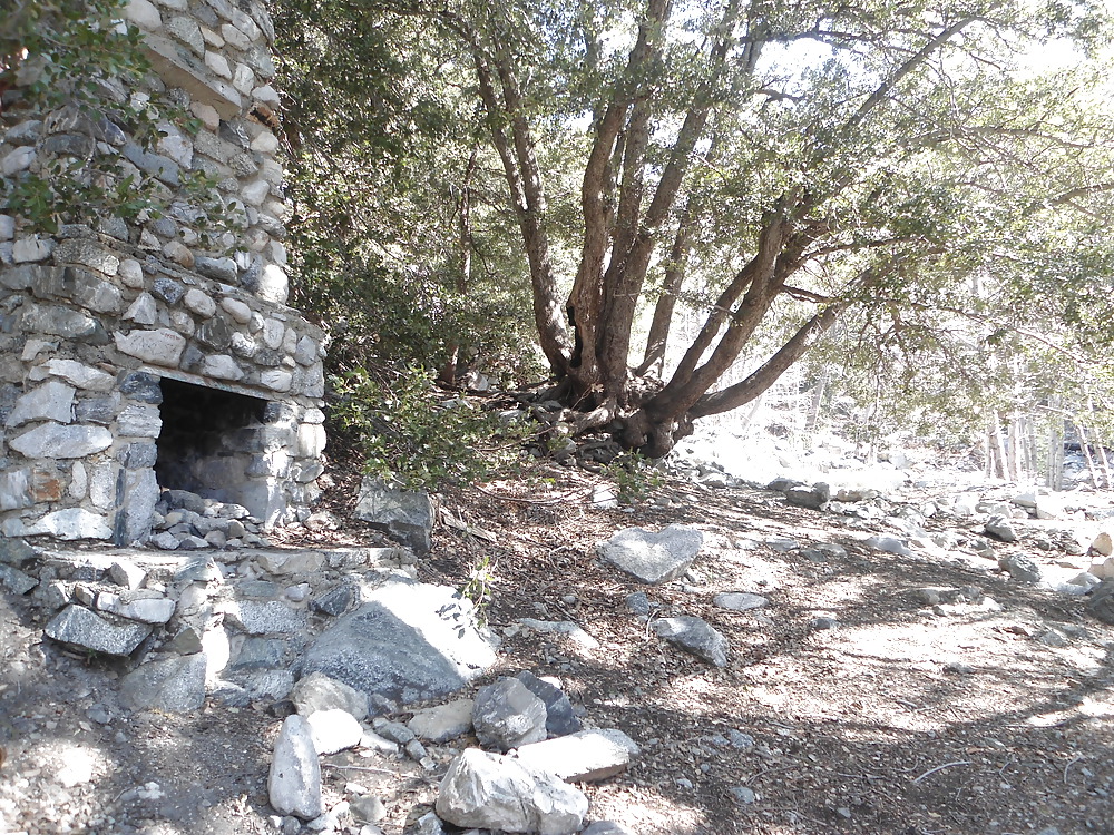 More Nature photos #8807081