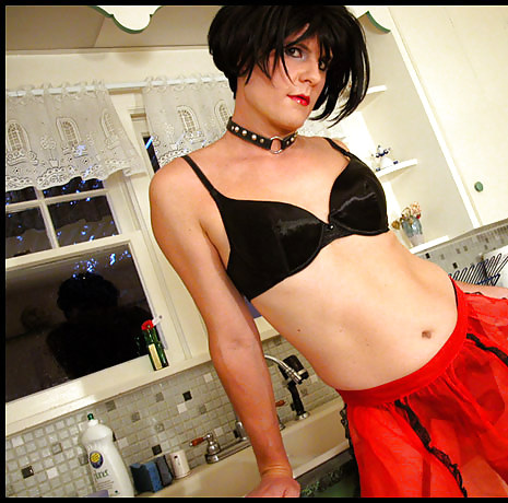 Delia 1 #9368459