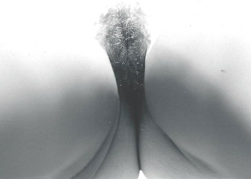 ケイケイ・ディスプレイ
 #9183389