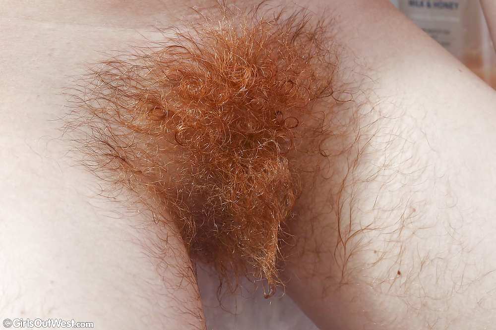 Hairy lesbian pussies #20996298