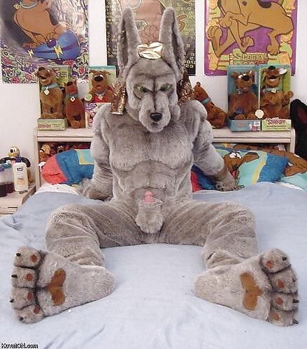 Diversión
 #17587158