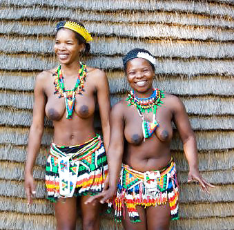 African tits 1 #6830382