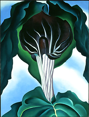 Keeffe #10987664