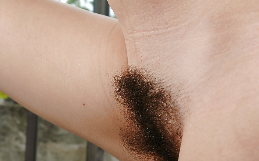 HAIRY and NATURAL 56 #2245424