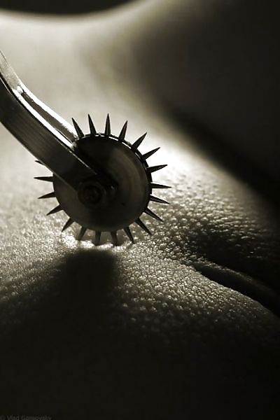 Erotiquement votre 4 #9344514