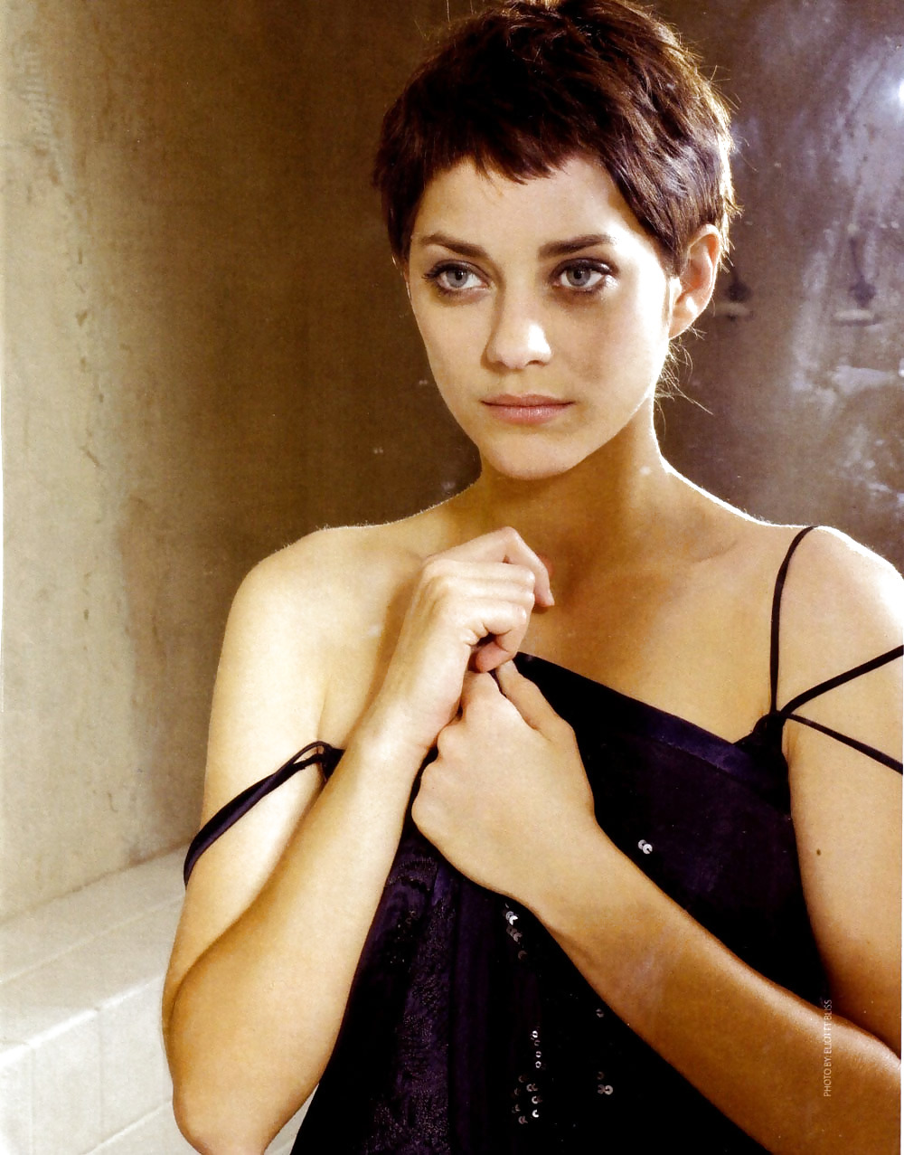 Marion cotillard
 #13300865