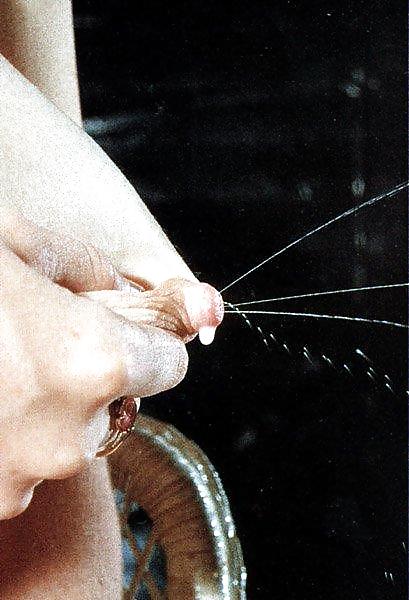 Lactating Tits #4525969