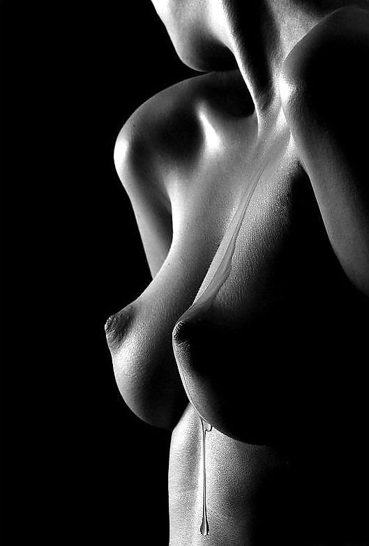 Black and White Erotica #3619238