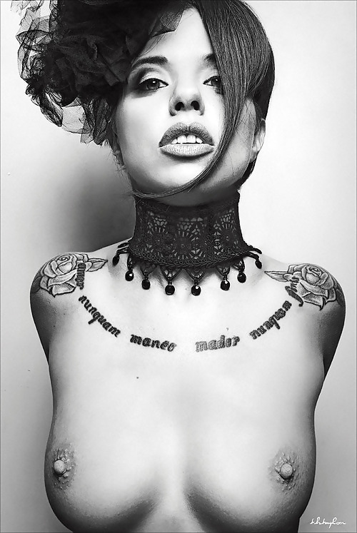 黒と白の699!
 #17536557