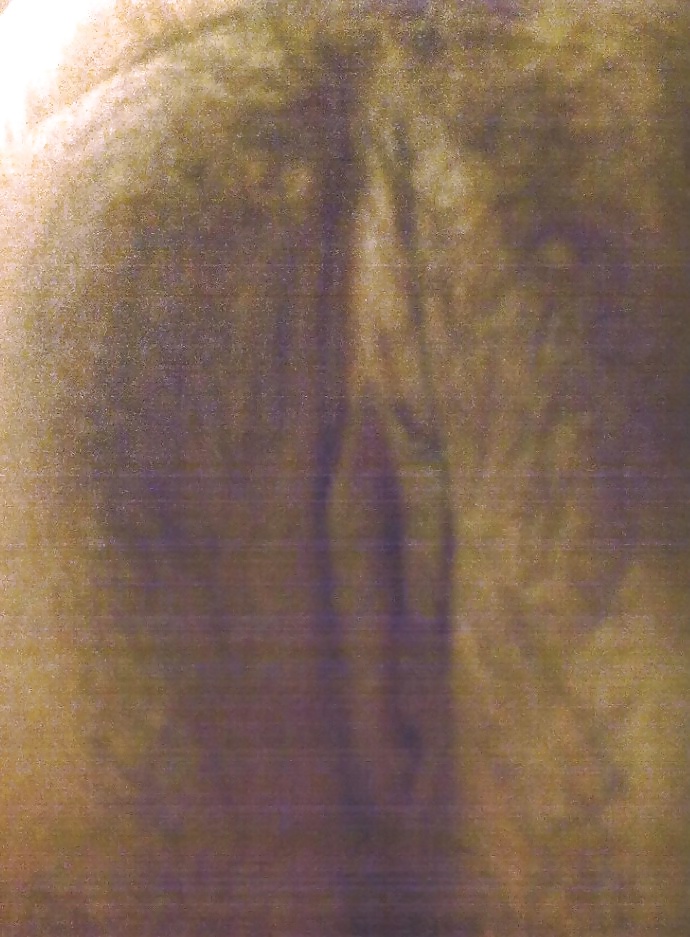Pussy front