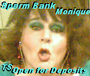 Torrid Transsexual Trollop: Tastfully Teases Toyboys #3660922