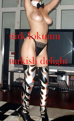 AMATOR TURKISH 11 #17769869