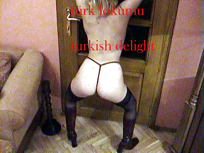AMATOR TURKISH 11 #17769902