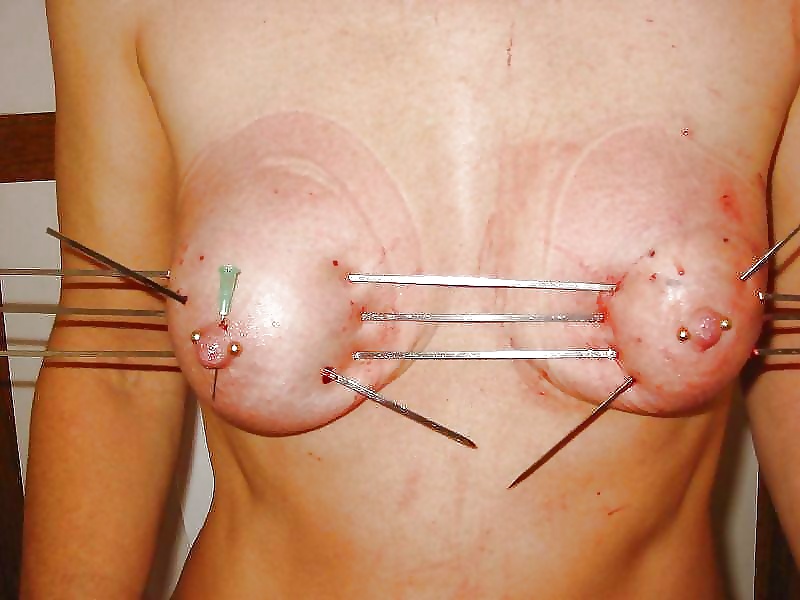 Tit torutre #12777713