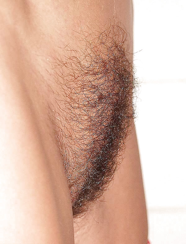 Some Sexy Hairy girls #8126132