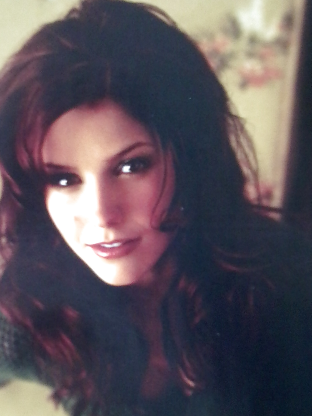 Appealing Sophia bush