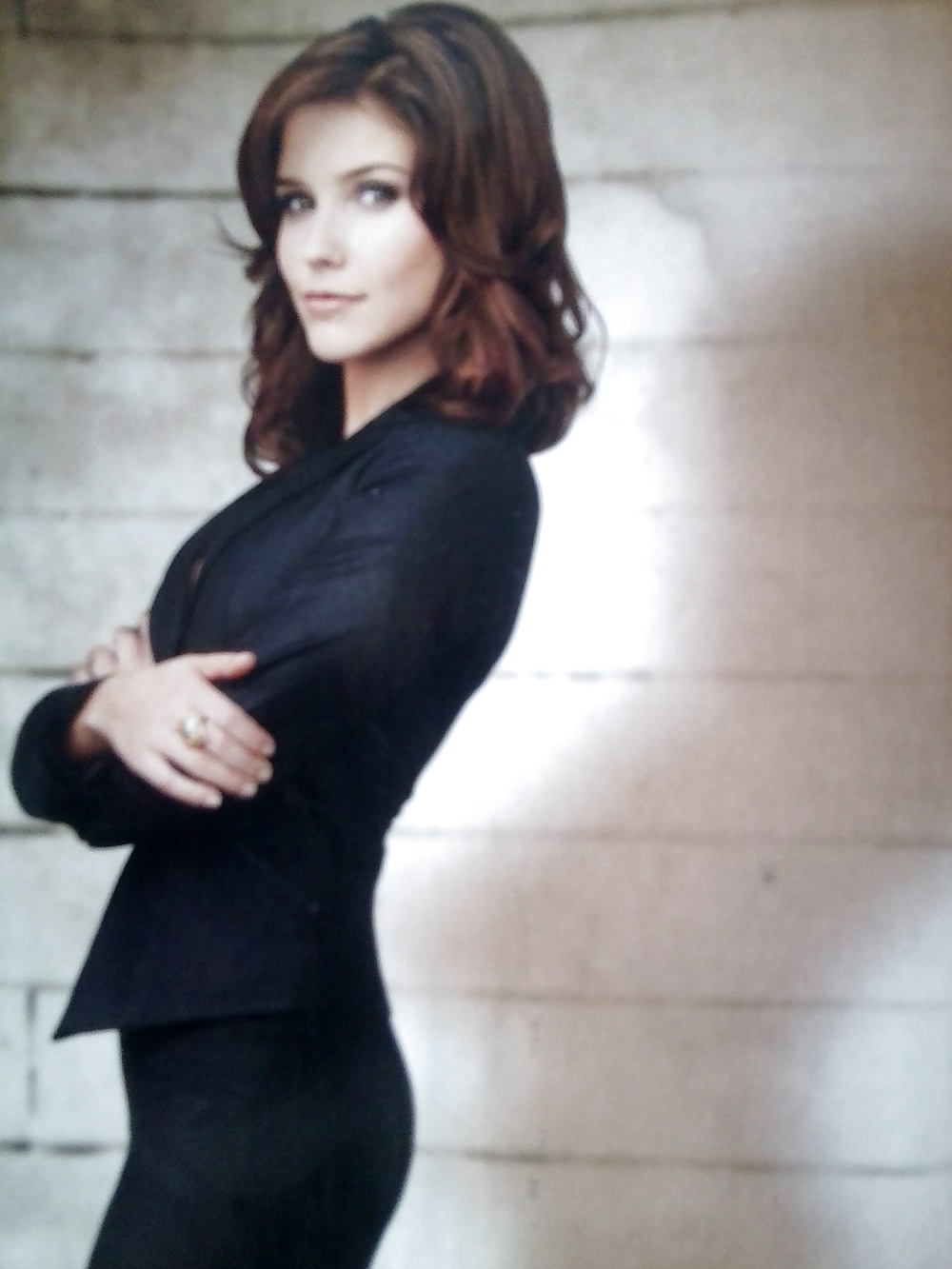 Sophia bush #8528896