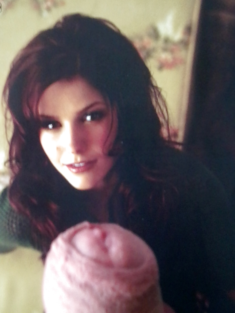 Sophia bush #8528902