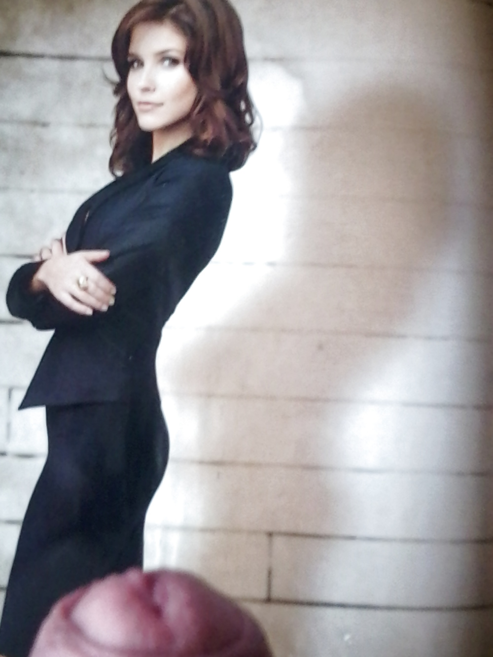 Sophia bush #8528927