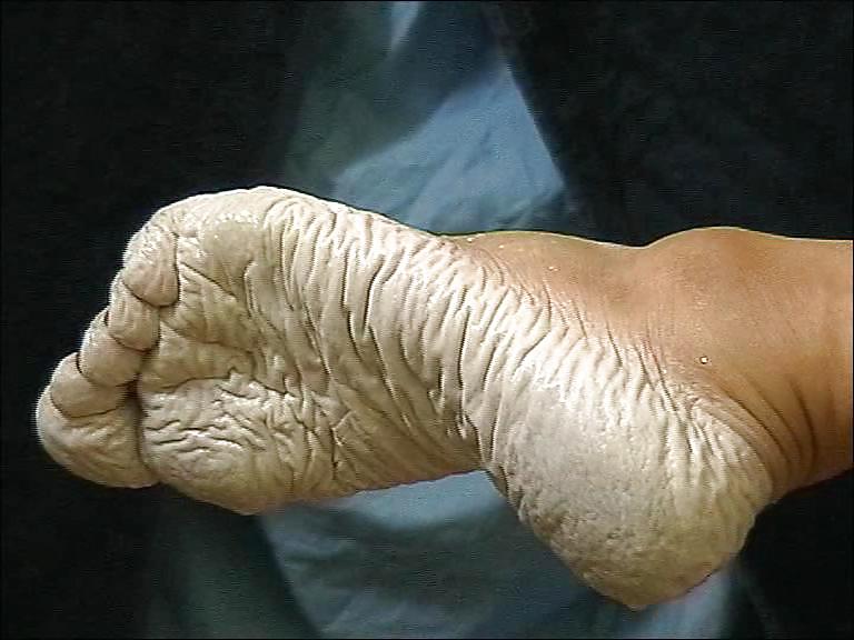 Bianca's wet wrinkled feet  #4479614