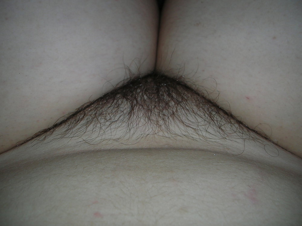 Plump Wie Das Foto #22823521