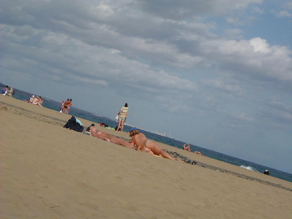 Amo le spiagge nude
 #4375347