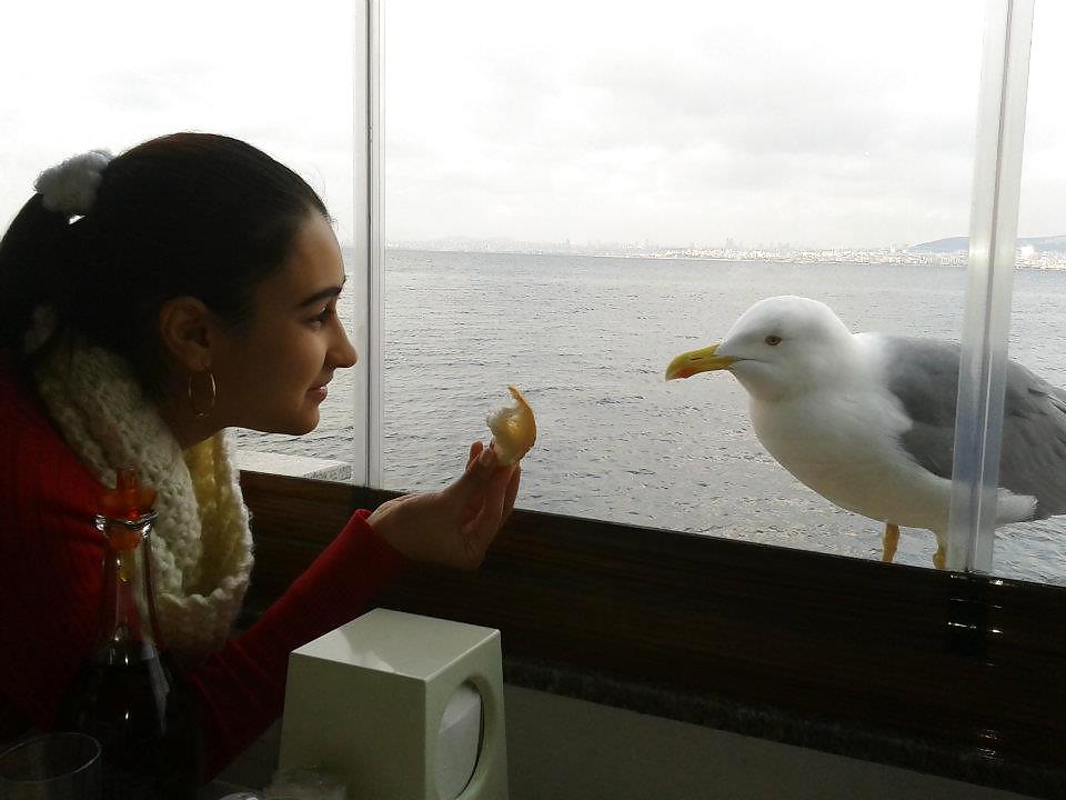 Fotos de mí
 #10771416