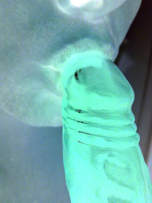 Einfach nur ich
 #14793992