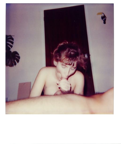 Vintage Polaroid snaps. #9322794