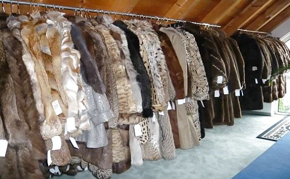 Some corsets i have and some i want.. #11332766