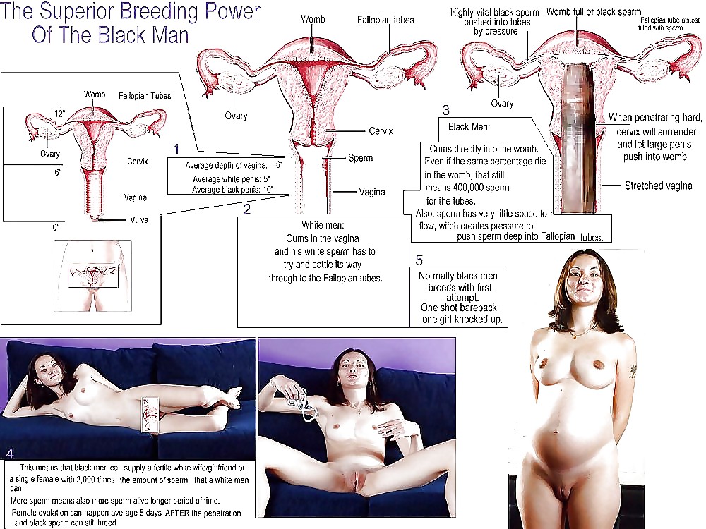 White Wives & GF's Black Bred Pregnant by Hung Niggas #15137332