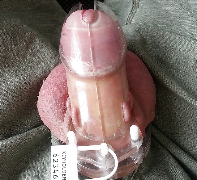 Chastity #12049245