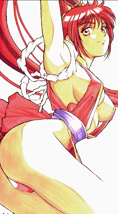 Mai Shiranui (fureur Fatale Et Roi Des Combattants) #14855072