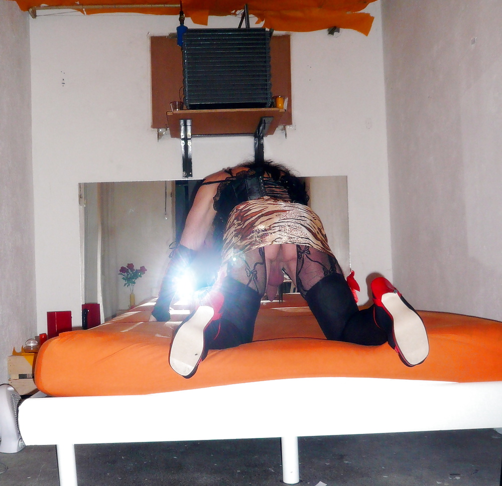 DWT DANIELA #13621441