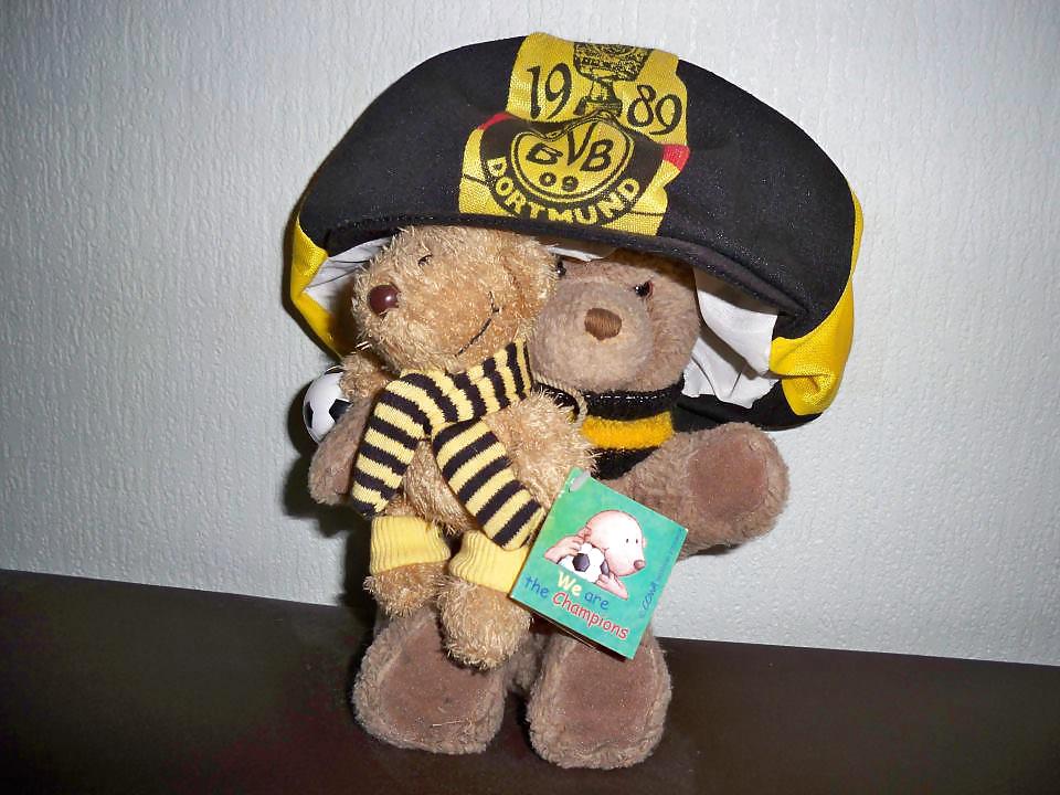 BVB #13312992